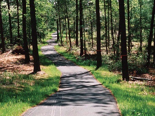 Anchors Landing Walking Trails